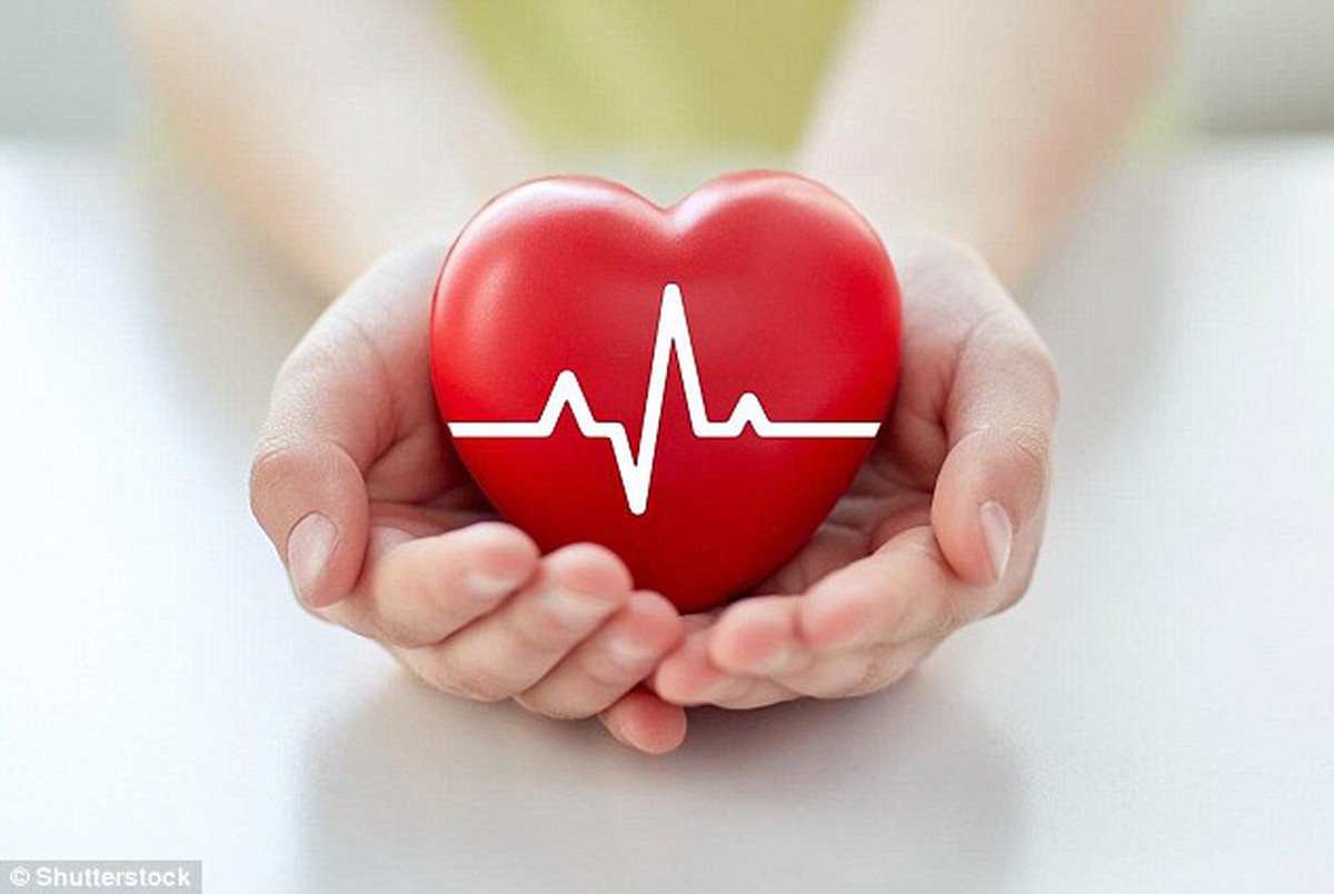 Tại sao trái tim nữ giới đập nhanh hơn nam giới?