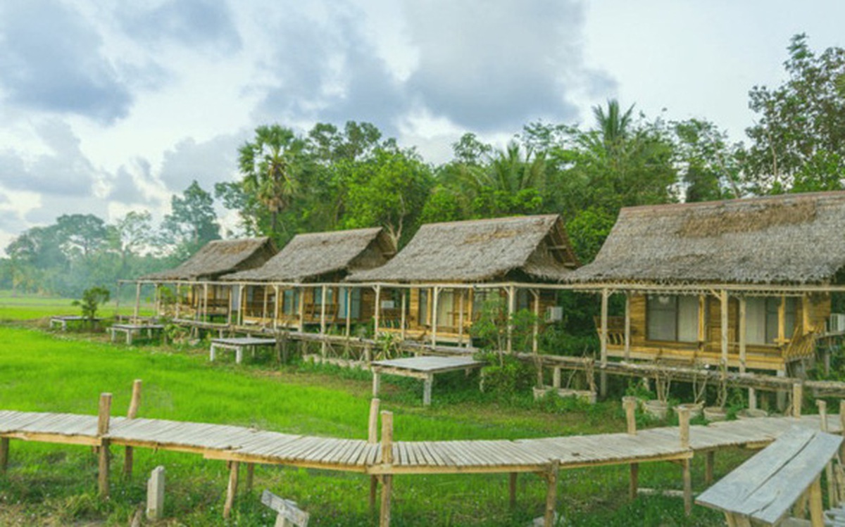 Xu hướng “bỏ phố về vườn” xây homestay, farmstay: Những người đầu tư ...