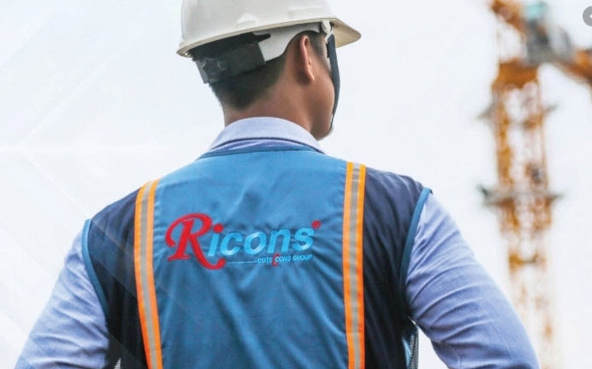 Lợi nhuận của Coteccons, Ricons và Hòa Bình đều sụt giảm mạnh trong năm ...