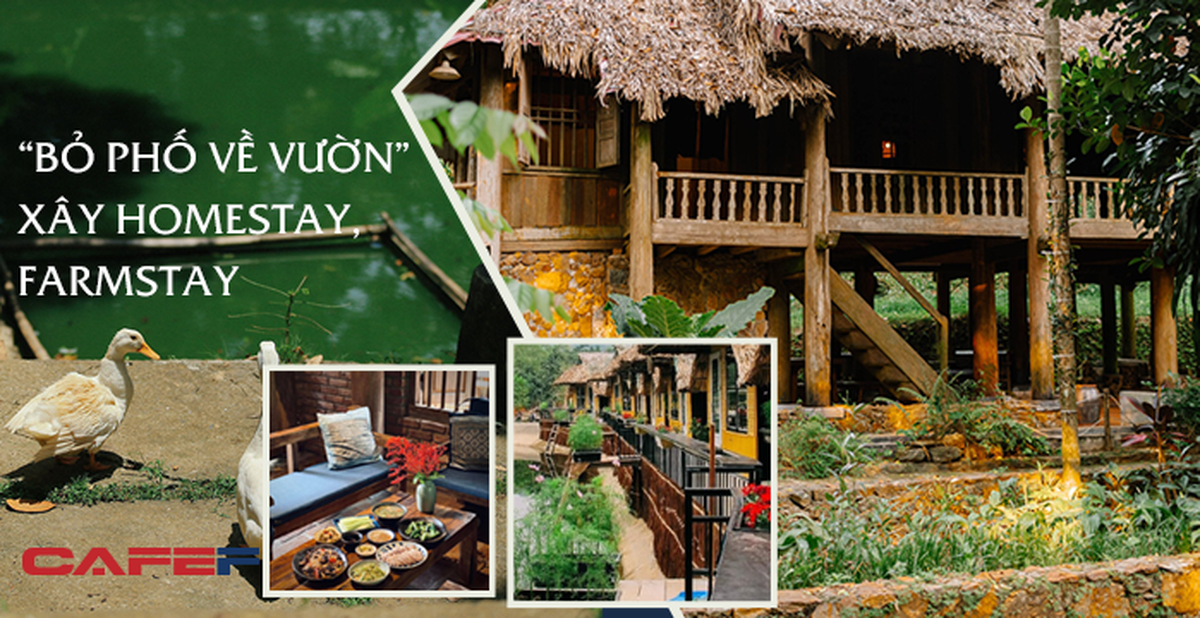 “Bỏ phố về quê” xây homestay, farmstay - Đầu tư sinh lời hay thú vui ...