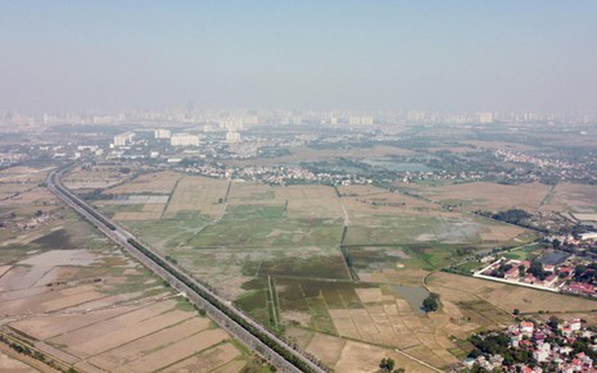 cafef.vn