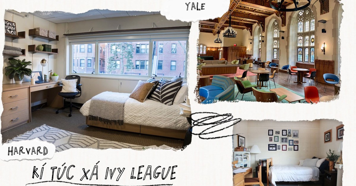 "Đột nhập" KTX những ngôi trường số 1 hành tinh: Sinh viên Ivy League ...