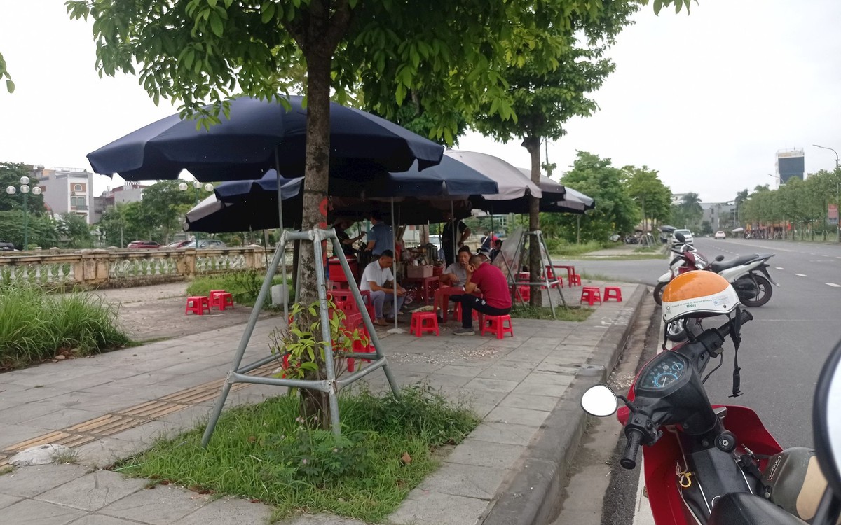 m.cafef.vn