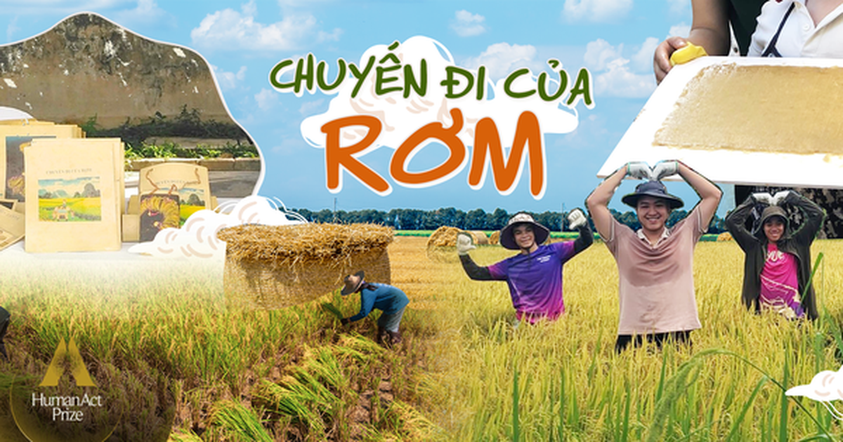 Chuyến đi của Rơm: Sinh ra từ cây lúa, lớn lên ở cánh đồng, làm phân ...