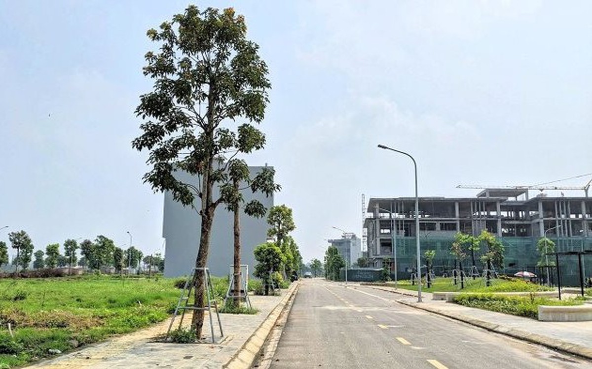 cafef.vn