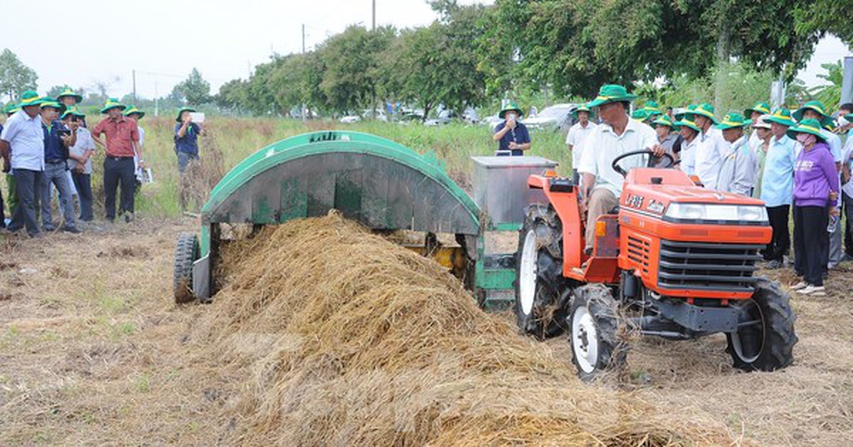 Mỗi năm Việt Nam có 47 triệu tấn rơm rạ phải 'biến thành tiền'