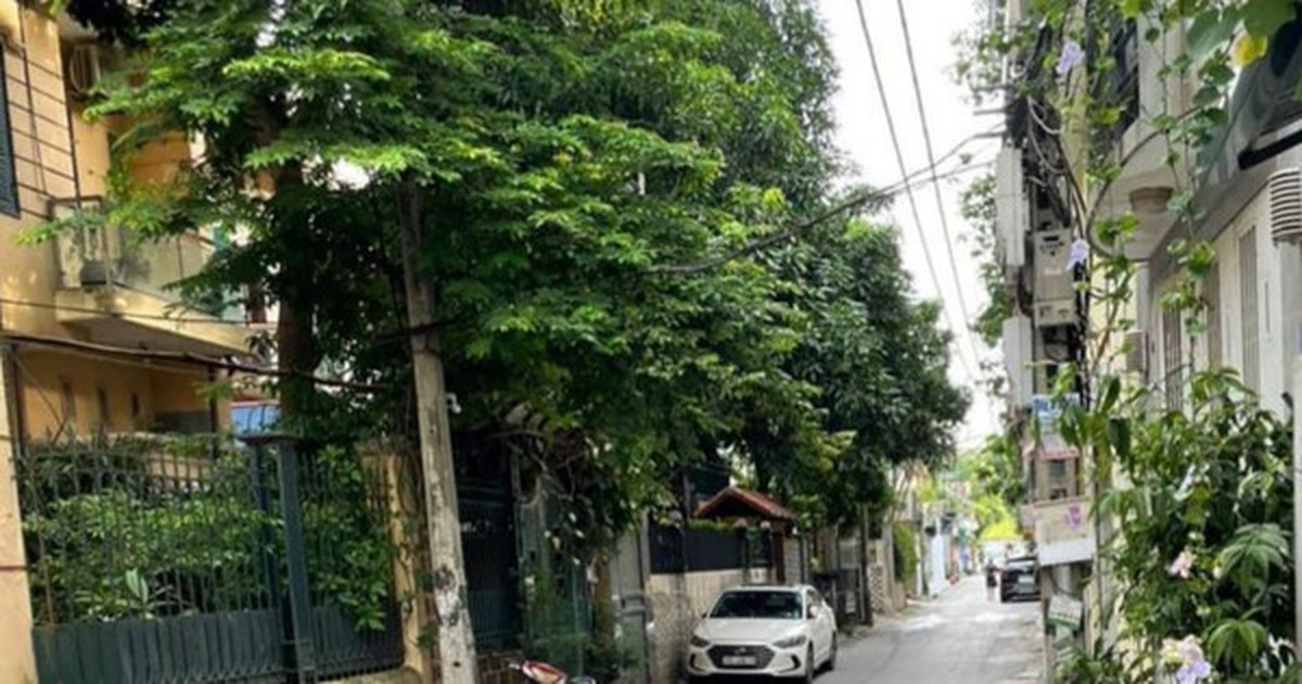 cafef.vn