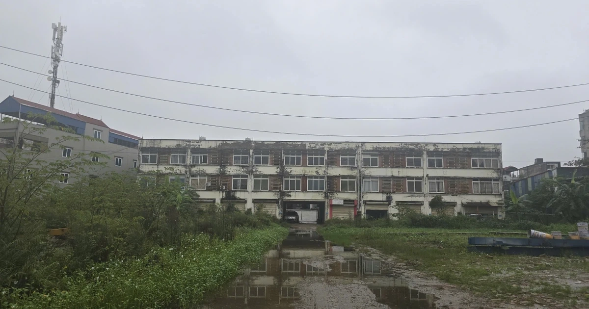 Địa phương đang đặt mục tiêu lên thành phố trực thuộc Trung ương sắp có khu thương mại tự do 5.000 ha, gắn với sân bay 5 sao top 10 thế giới