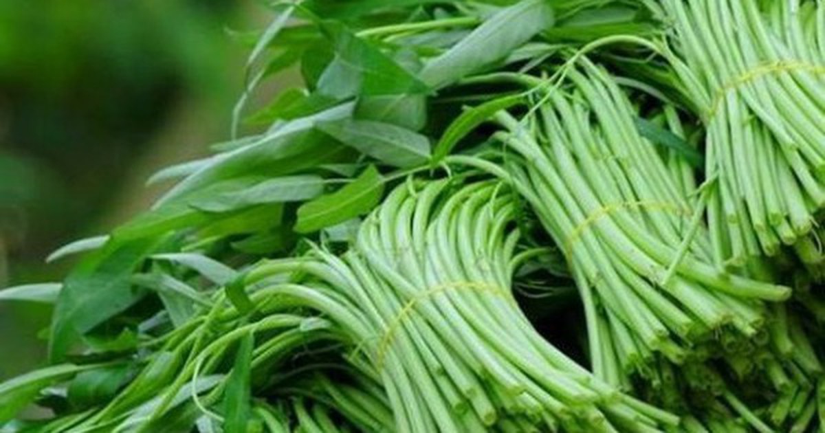 Mua rau, cứ học thuộc mẹo này là biết rau trồng tự nhiên hay rau phun ...