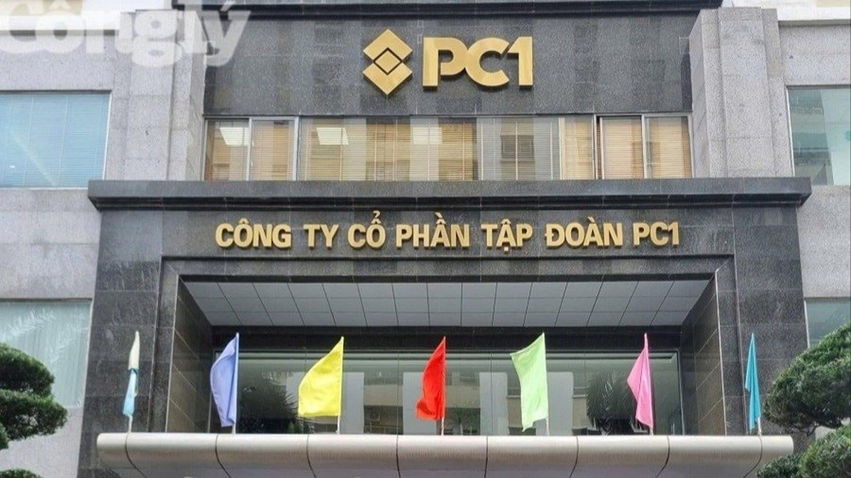 Con gái Chủ tịch Tập đoàn PC1 Trịnh Văn Tuấn hoàn tất mua vào 4 triệu ...