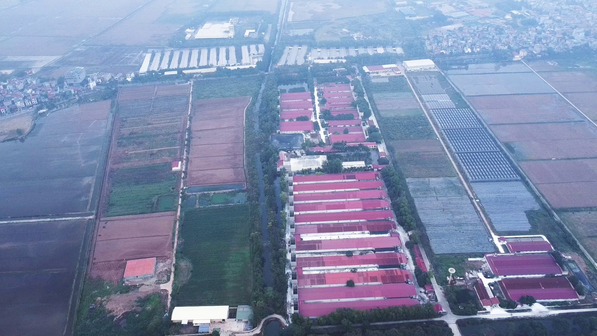 Việc