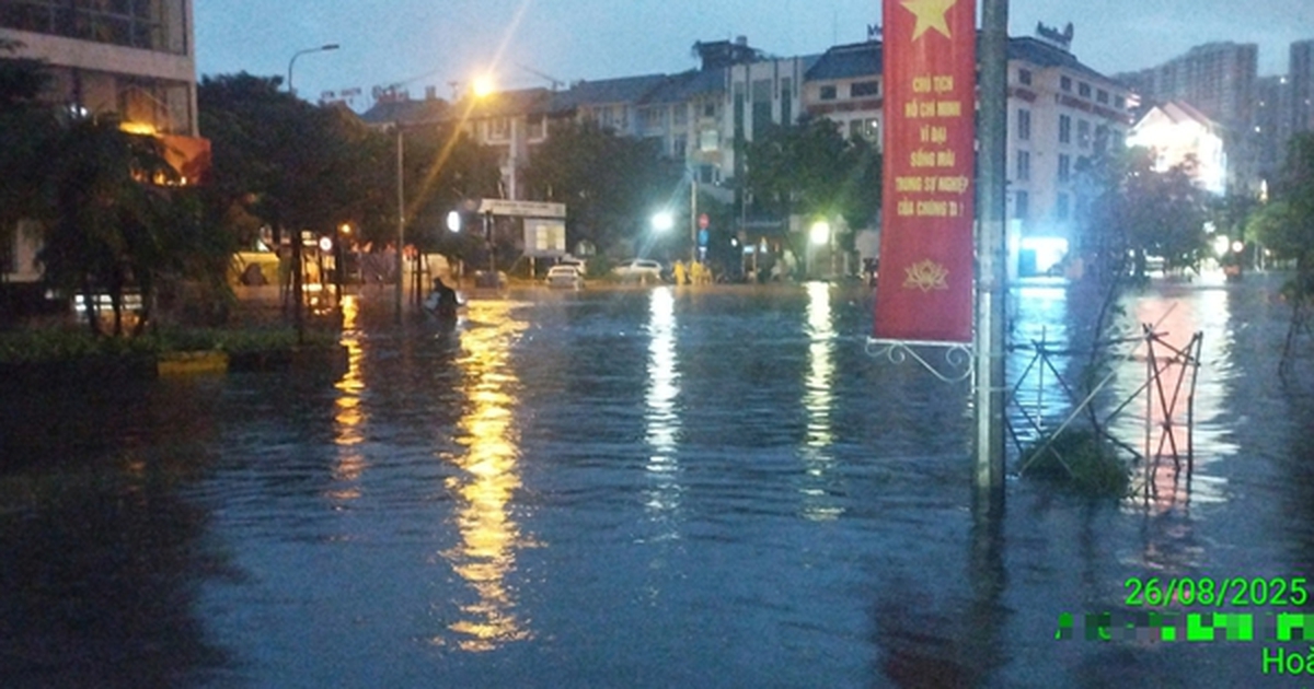 m.cafef.vn