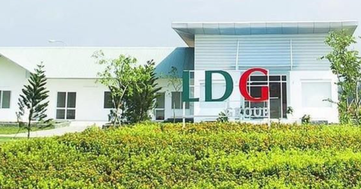 LDG báo lỗ hơn 66 tỷ đồng trong quý 2/2025, nối tiếp chuỗi 9 quý lỗ ...