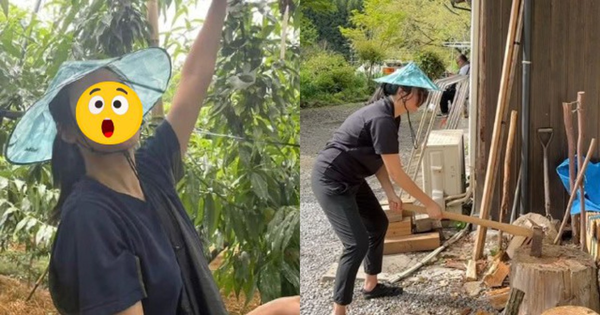Mỹ nhân nổi tiếng vô ơn bỏ showbiz làm môi giới bất động sản, giờ phát tướng xuống cấp nhan sắc đến mức này