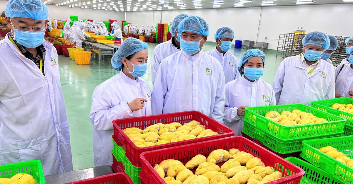 Láng giềng Việt Nam bất ngờ “lăng xê” 1 loại quả: Chợ Việt rất sẵn, sản lượng 2,08 triệu tấn, Trung Quốc mạnh tay chi 1,85 tỷ USD nhập khẩu