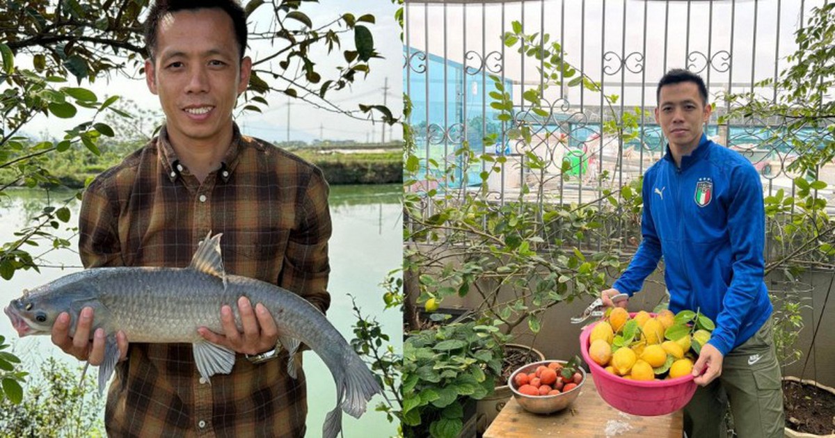Cây chanh vàng của Văn Quyết
