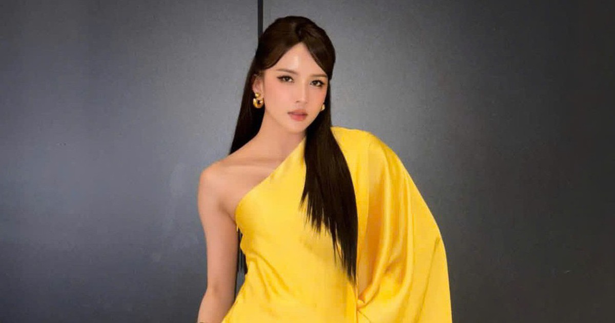 Thu nhập của Thiều Bảo Trâm