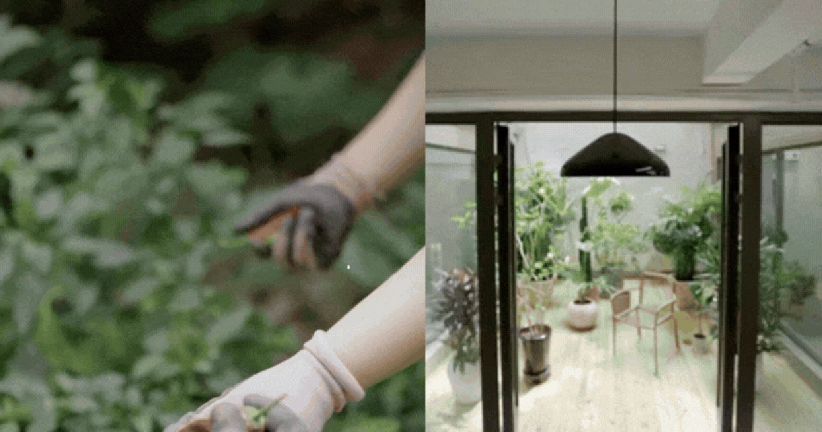 Cặp đôi không mua nhà, thuê hẳn căn 350m² ở ngoại ô: Sau 45 ngày, kết quả khiến nhiều người bất ngờ