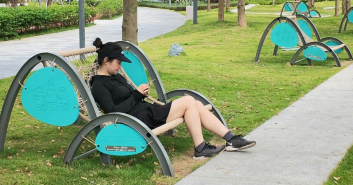 Sự thật bất ngờ đằng sau bức ảnh chụp chiếc ghế trong công viên