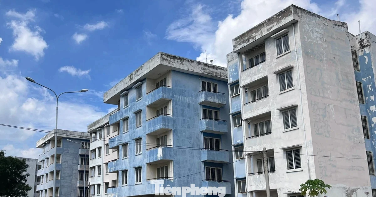 TPHCM: Gần 1.000 căn hộ tái định cư được đề xuất làm nhà ở công nhân