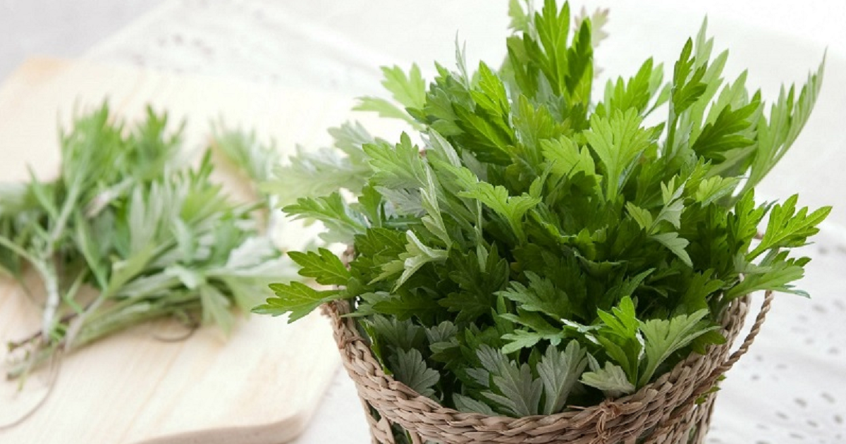 Có sẵn ngải cứu trong bếp, đừng bỏ qua 2 món ăn dân dã tốt cho sức khỏe