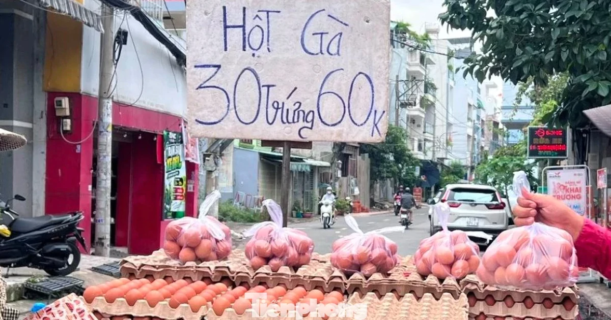 Trứng gà giá rẻ len lỏi đến tận nhà