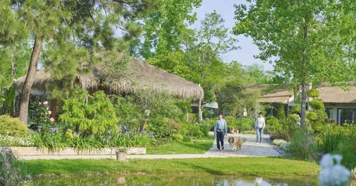 Bỏ phố lên núi nghỉ hưu ở tuổi 34, đêm đến tôi lại không dám ra khỏi nhà