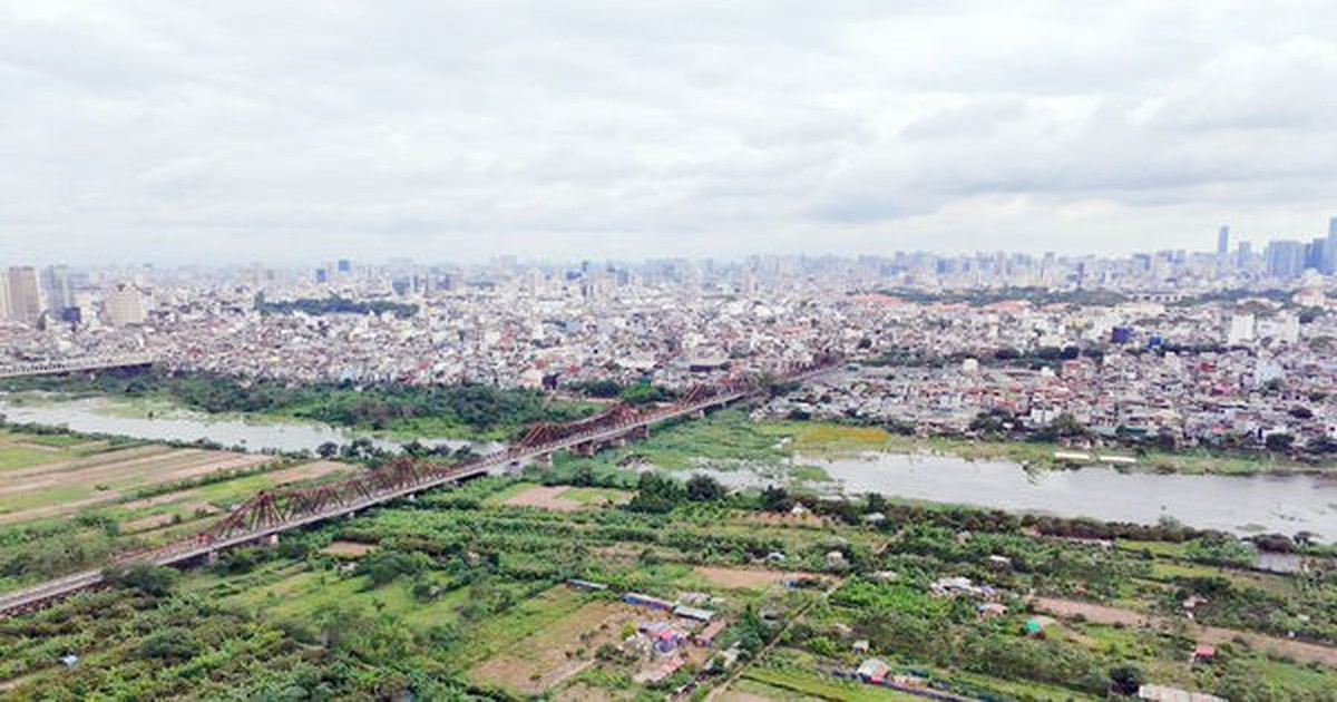 Cần quy định rõ trách nhiệm trong xử lý vi phạm đất đai