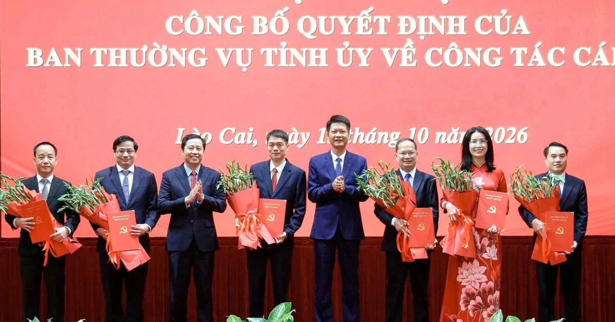 Công bố quyết định của Ban Thường vụ Tỉnh ủy Lào Cai về công tác cán bộ