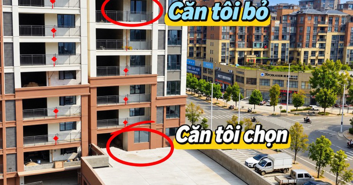 Mua căn hộ tầng thấp được tặng sân rộng, chủ nhà hào hứng làm vườn: 6 tháng sau phải tháo gần hết vì 4 rắc rối này