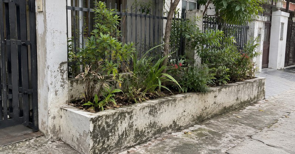 Tại sao ngày càng nhiều gia đình không còn xây bồn hoa trước nhà? 2 cách làm mới linh hoạt hơn đang dần thành xu hướng