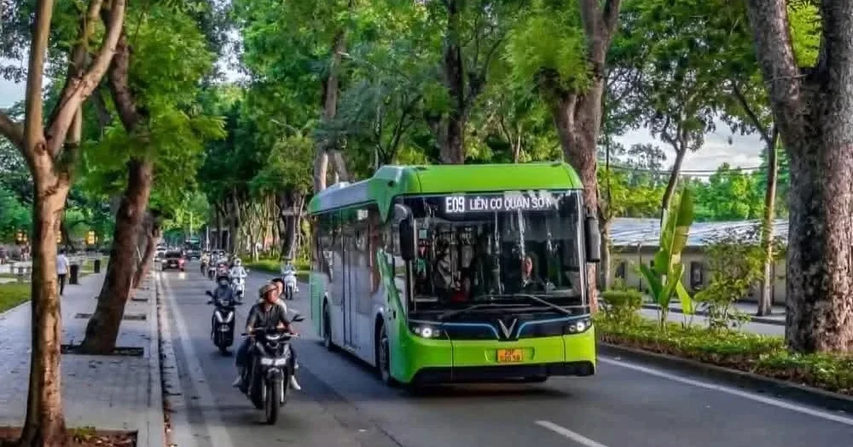 Đồng Nai định mở tuyến xe buýt dài hơn 100 km