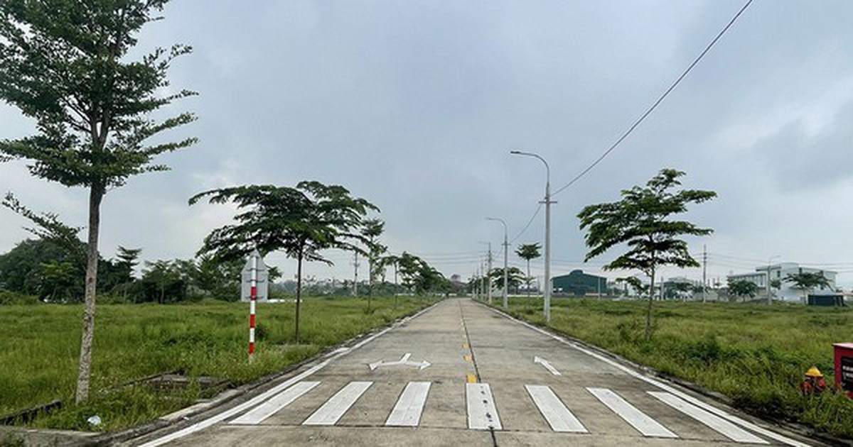 Tạo cơ chế để doanh nghiệp, hộ sản xuất tiếp cận mặt bằng