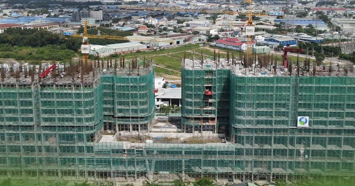 Nhóm cổ đông phía sau Tập đoàn OBC