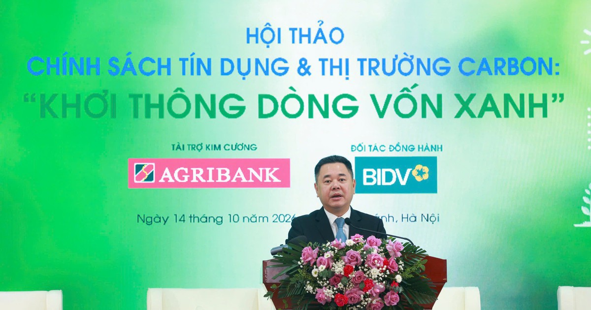 Phó Thống đốc NHNN: Thị trường carbon có thể giúp doanh nghiệp giảm phụ thuộc vào vốn ngân hàng
