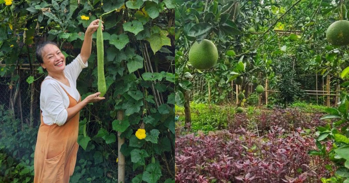 Mẹ nuôi của Phương Oanh nghỉ hưu sớm, làm nông dân ở khu vườn rộng 4.000m² ven sông Hồng