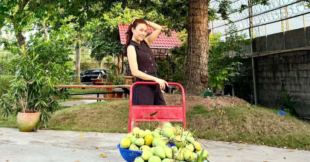 Thủ khoa Nhạc viện thành công nhất Việt Nam: 5 phút bán hết 10.000 vé, gia tài 30 năm nhiều không đếm xuể