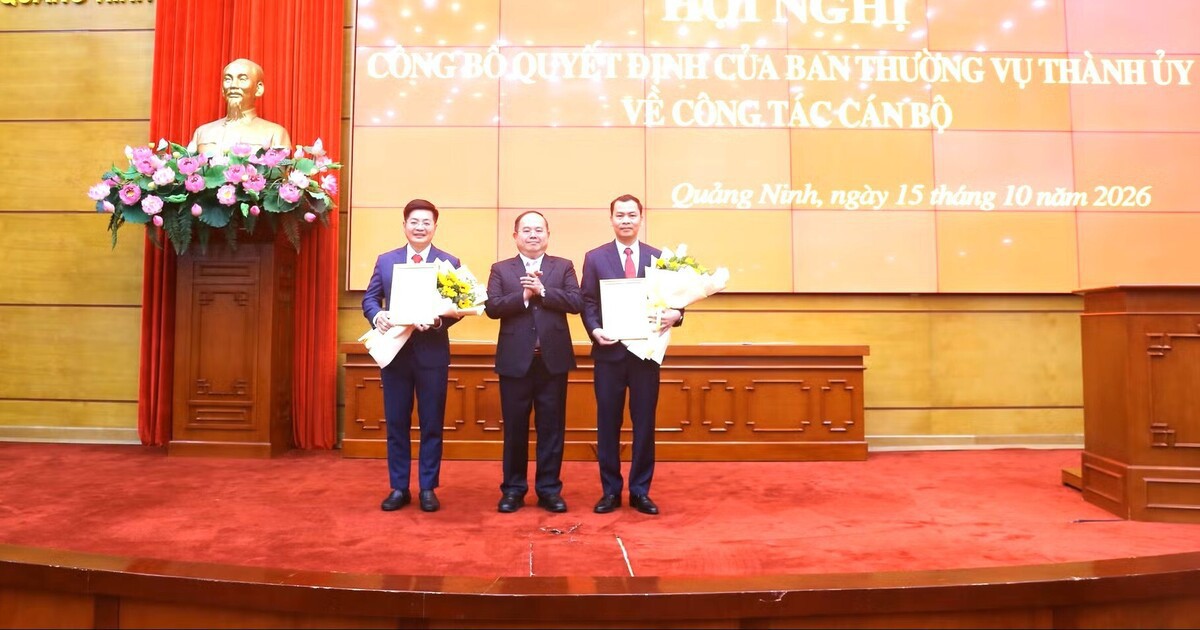 Quảng Ninh điều động, bổ nhiệm loạt cán bộ cấp sở, ngành và lãnh đạo xã, phường