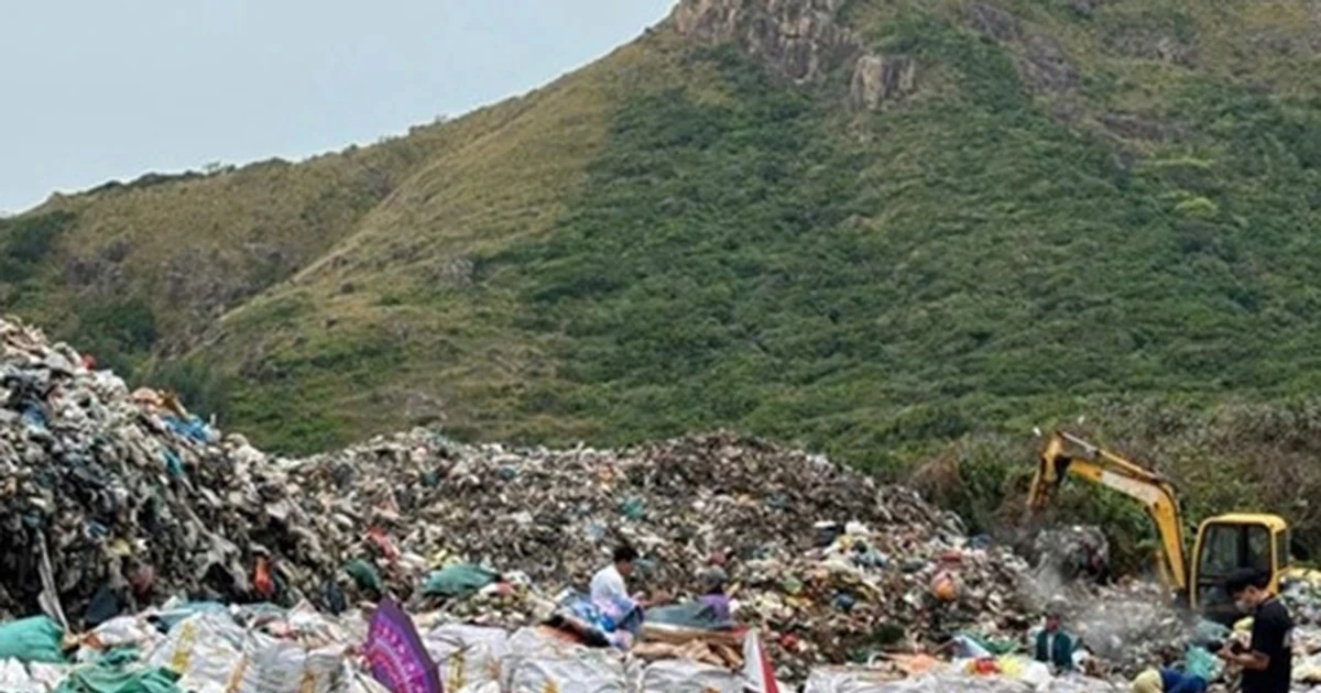 Bãi bỏ quyết định chuyển 1,92 ha rừng Côn Đảo làm nhà máy xử lý rác
