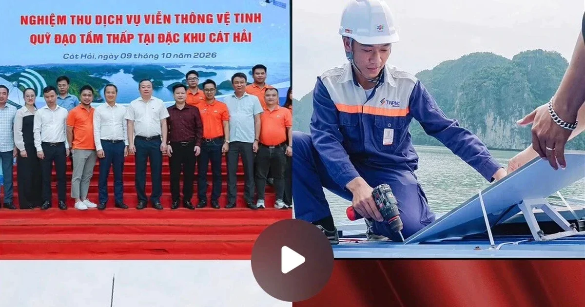 Tỷ phú Elon Musk chia sẻ 6 điểm lắp đặt Internet Starlink tại Cát Bà