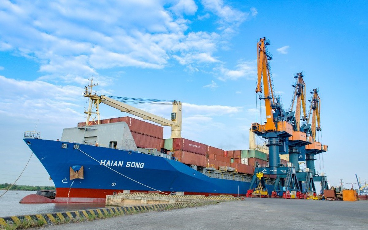 Chủ nhân 20 tàu container lớn nhất Việt Nam tính chi thêm 70 triệu USD đóng 2 tàu mới: Chờ 3 năm mới nhận, giữa lúc tàu cũ đắt gần bằng tàu mới
