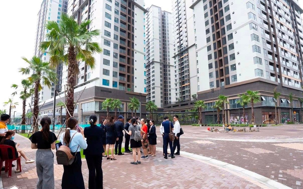 VARS: Thị trường bất động sản không đóng băng, khách liên hệ tư vấn, xem nhà vẫn ở mức cao