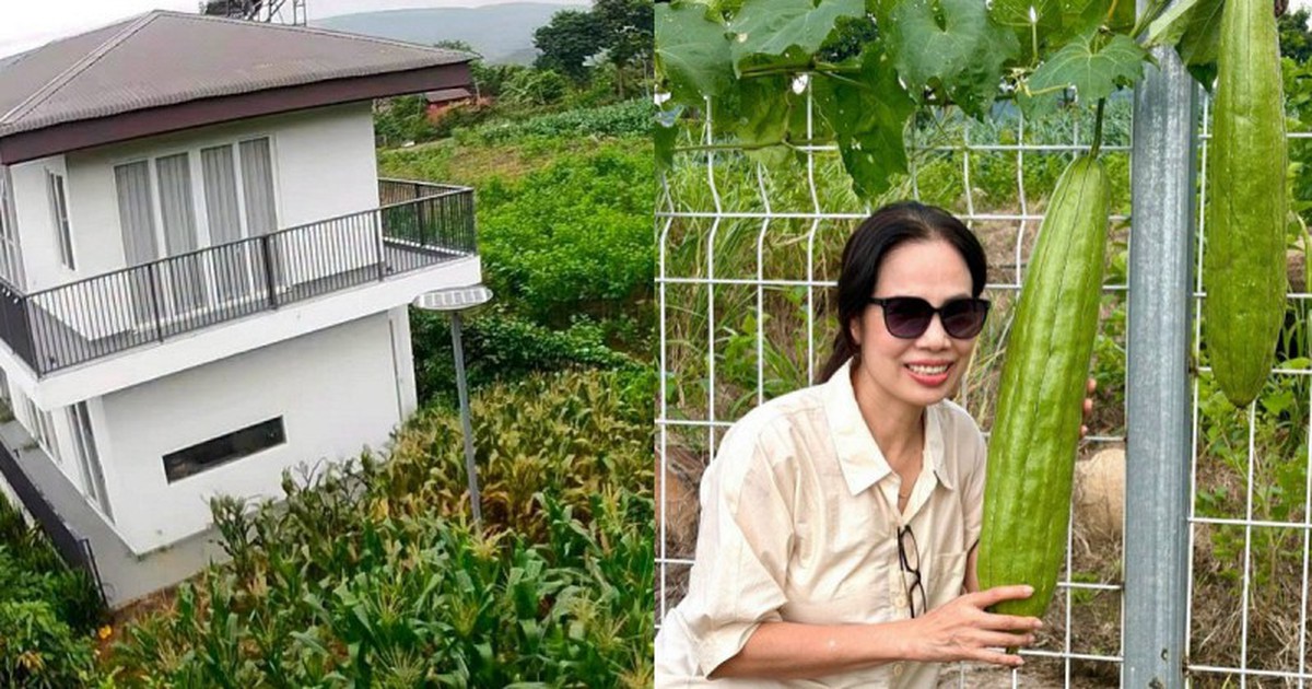 Mẹ Á hậu 2 Miss Universe Vietnam 2026 có khu vườn gần 1.000m² ở Lâm Đồng, trồng đủ rau trái, sống chill