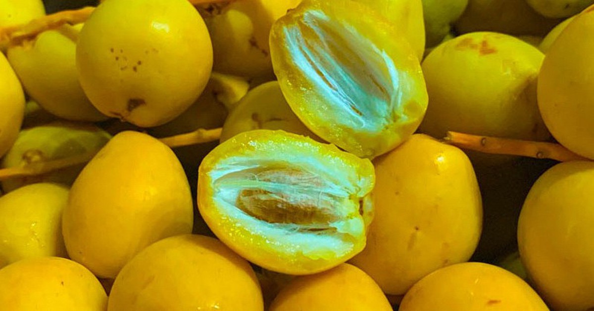 Việt Nam đã trồng được loại quả bé xíu có cách ăn kỳ lạ: Được đồn “cắn dọc thì ngọt, cắn ngang lại chát đến nhăn mặt”
