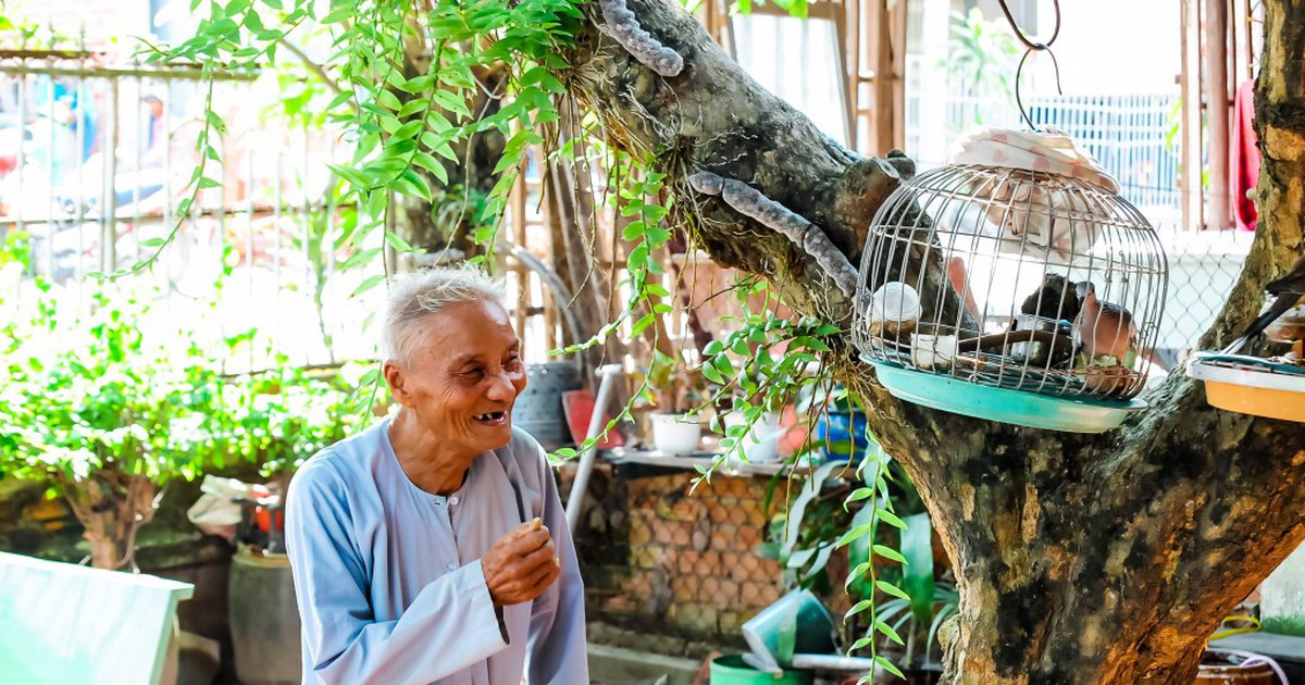 Tuổi thọ 74,7 nhưng chỉ 65,4 năm sống khỏe: Khi tuổi già cần người chăm sóc, tiền đâu để trả?