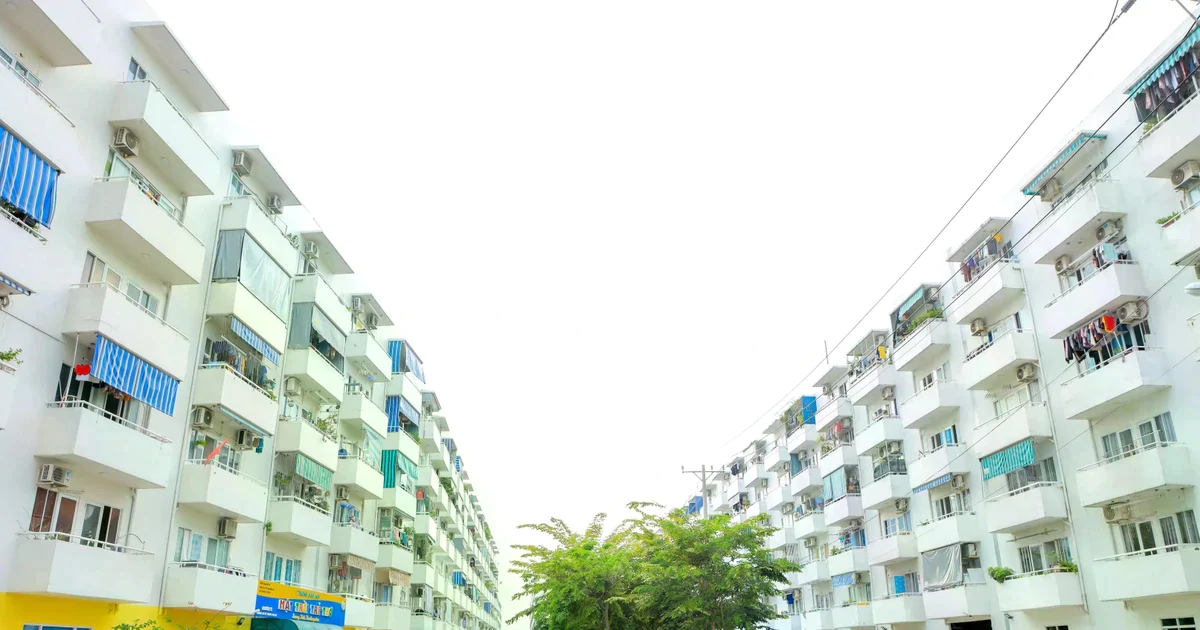 TPHCM xây dựng “luồng xanh” cho các dự án