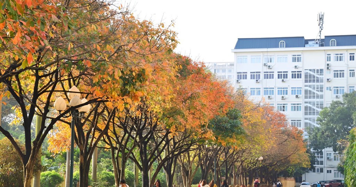 Một trường đại học top đầu Việt Nam thông báo có thêm 3 trường trực thuộc