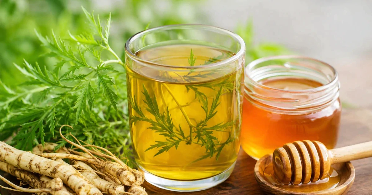 Thói quen uống nước lá đinh lăng cần bỏ ngay