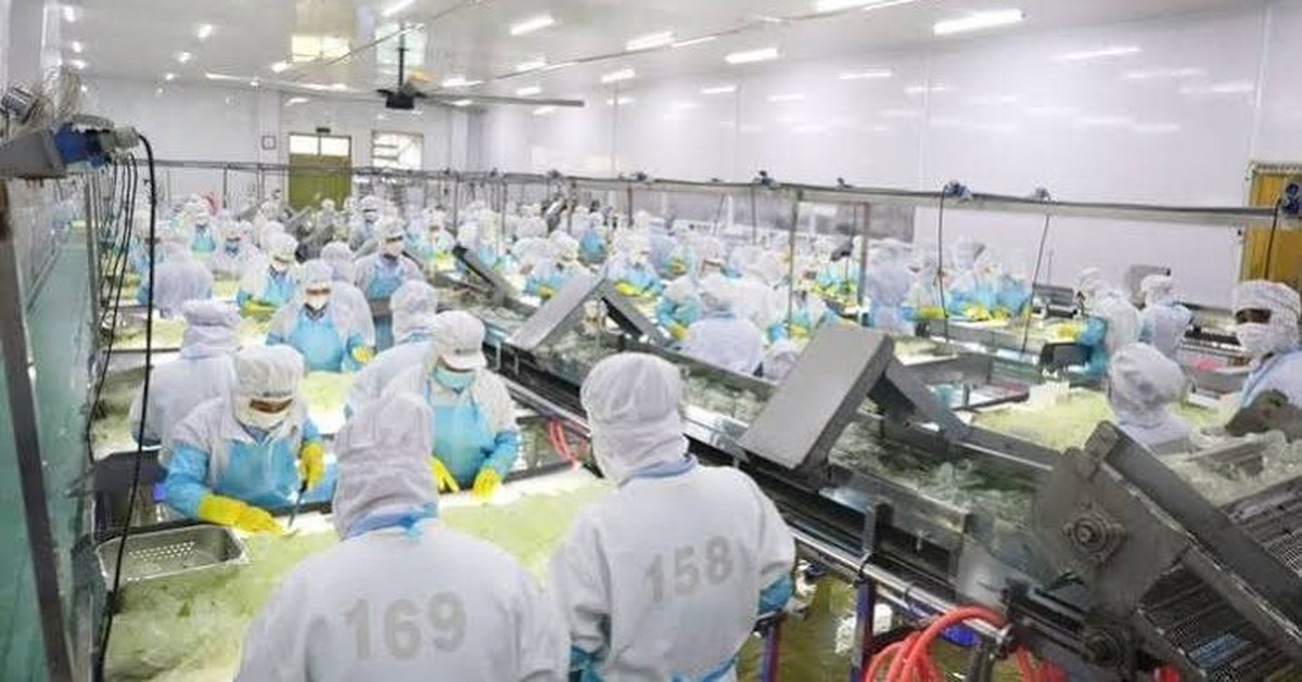 “Ông lớn” sản xuất nha đam, thạch dừa GC Food (GCF) bị phạt gần nửa tỷ đồng vì loạt vi phạm