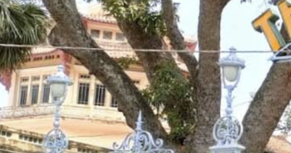 Đúng 15 giờ ngày 21/10, Thảo Cầm Viên thông báo tin buồn về thành viên nổi tiếng sau 16 năm